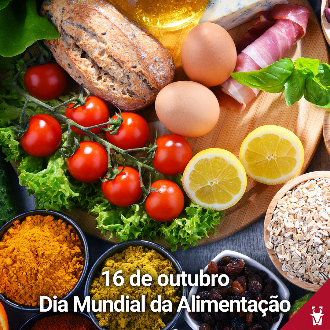 No Dia Mundial da Alimentação, Beckhauser reforça compromisso no combate ao desperdício de alimentos