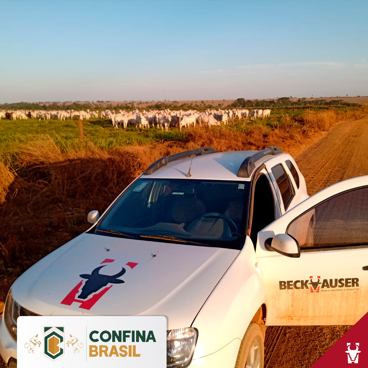 Confina Brasil continua mapeando a pecuária na segunda rota de visitas