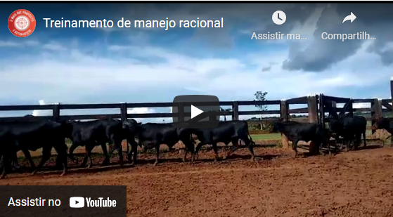 Treinamento - Manejo racional