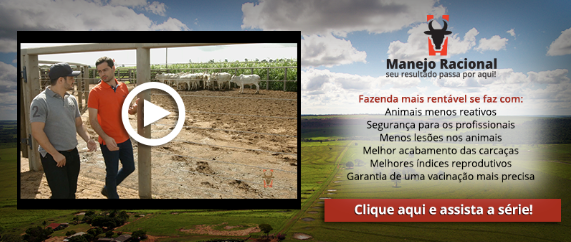 Websérie “Manejo racional: seu resultado passa por aqui” da Beckhauser é sucesso no YouTube