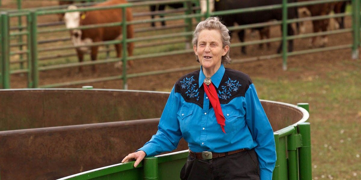 Temple Grandin vem ao Brasil promover bem-estar animal