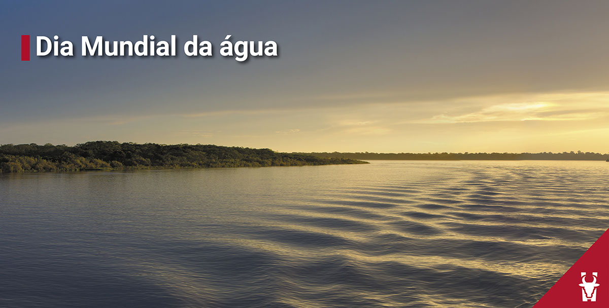 Água de boa qualidade garante o bem-estar e desenvolvimento do animal 