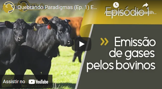 Você sabe qual é o real impacto de emissão de gases de efeito estufa pelos bovinos de corte?