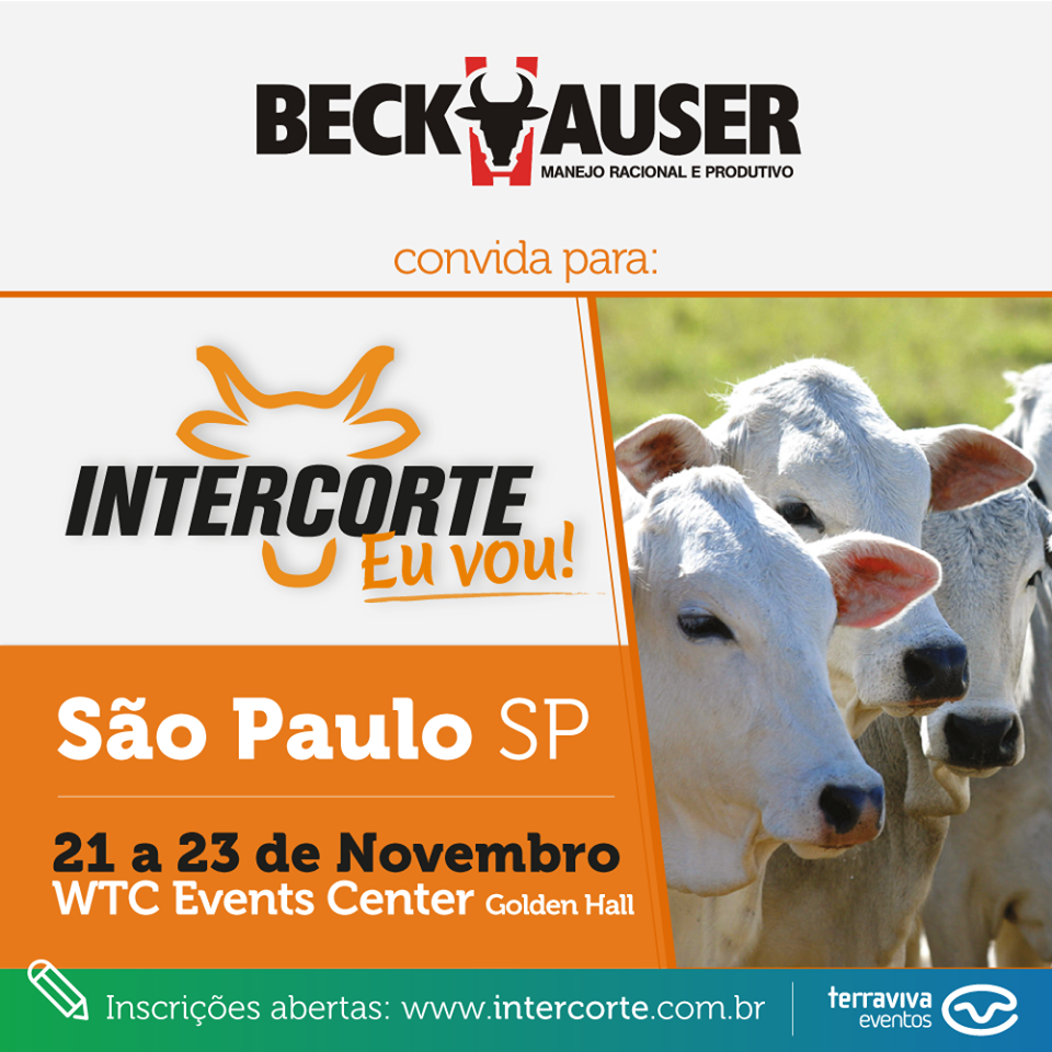 Caminho da pecuária é chegar aos ganhos de até 300% com integração produtiva, somando à genética, reprodução e nutrição