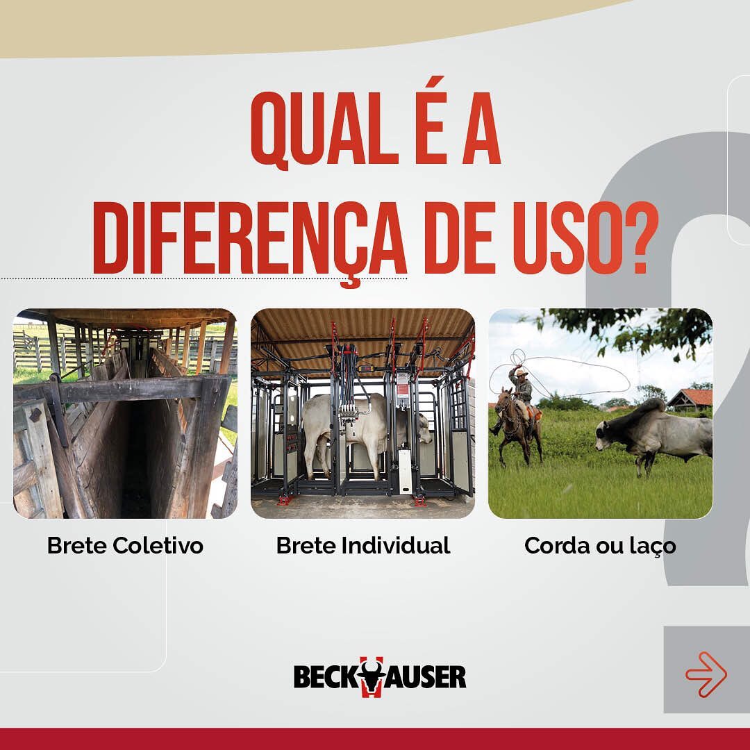 Brete coletivo, brete de contenção individual, laço/corda, para que servem?