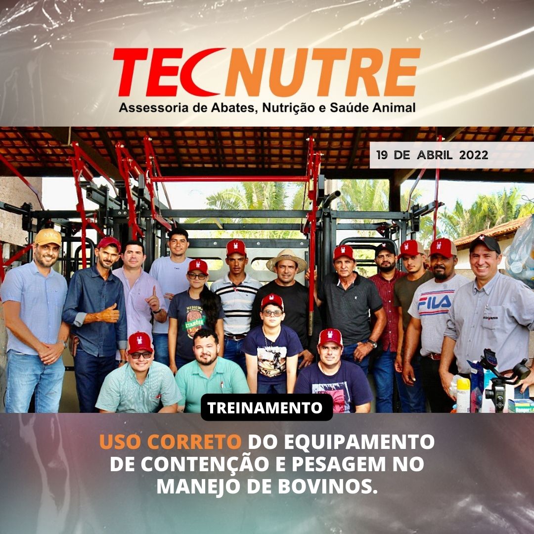Bem-estar do manejo no curral ao abate: parceria entre Beckhauser e Tecnutre leva conceito ao Maranhão
