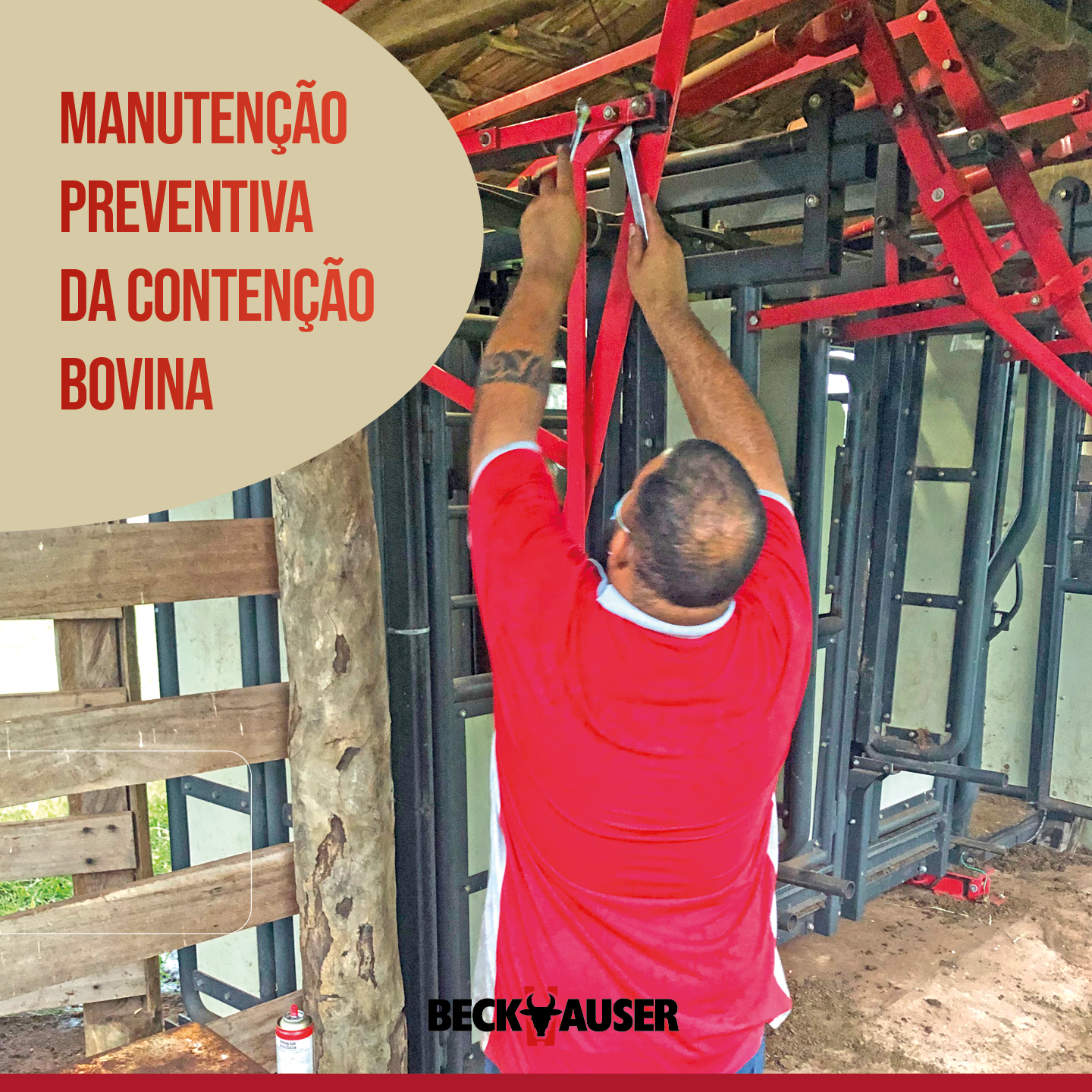 Manutenção preventiva no brete de contenção: benefícios além do que você vê.