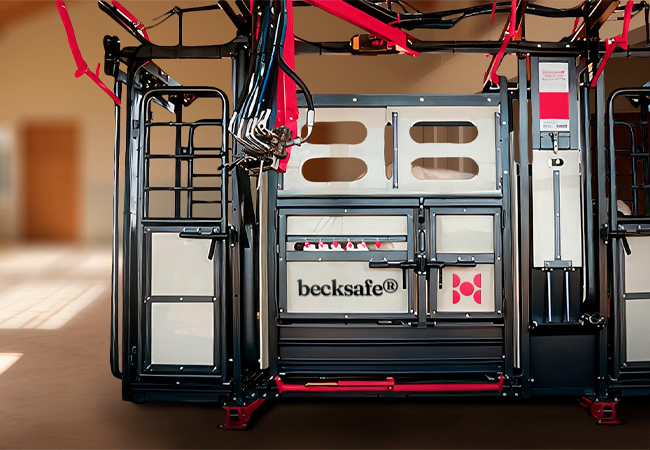 Beckhauser apresenta becksafe, novo conceito para denominar contenção bovina, no 8º CNMA