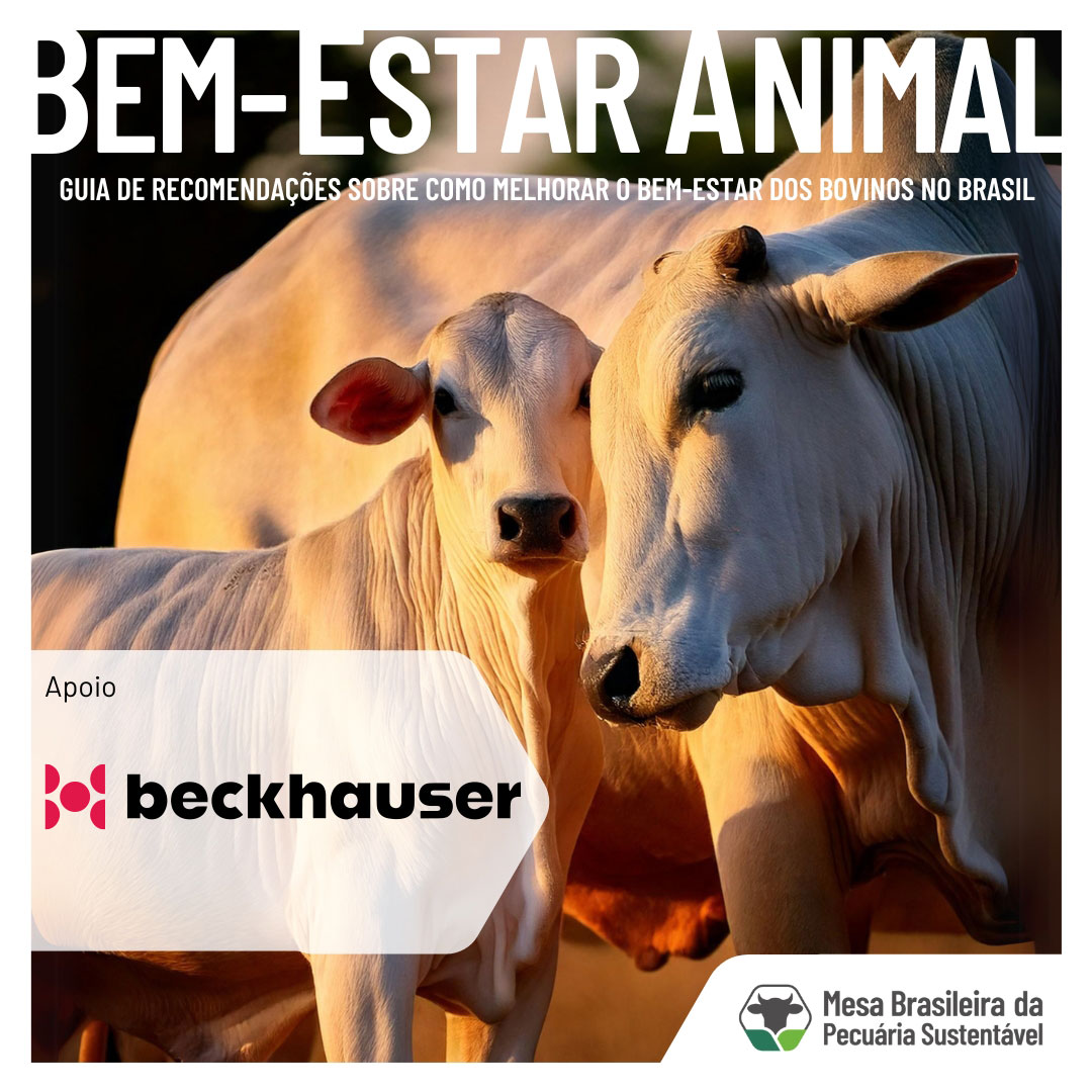 Novo guia de bem-estar animal incentiva práticas sustentáveis na pecuária